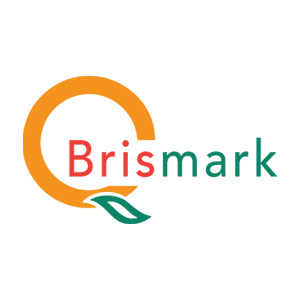 Brismark_Logo_300px